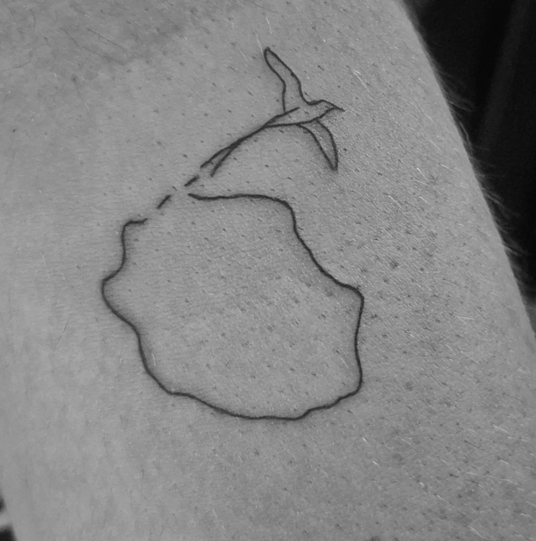 Tatouage minimaliste de La Réunion avec un paille-en-queue — Norse_ink